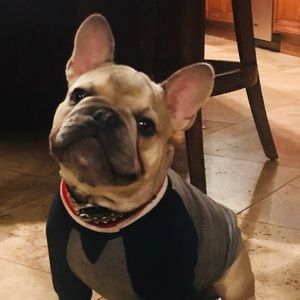 Meet your Posher, Teresa